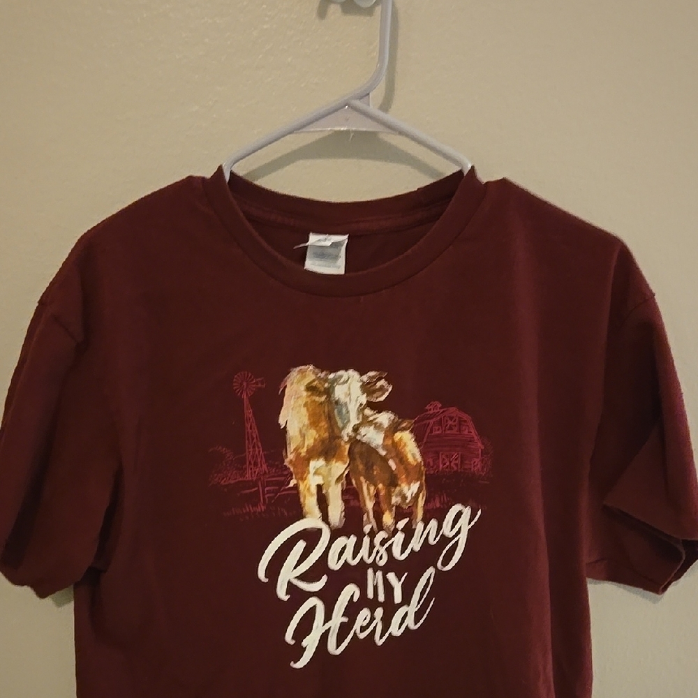 Kids Maroon Graphic T-Shirt